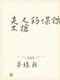 夫人的保镖又争又抢