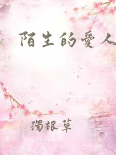 陌生的爱人短剧