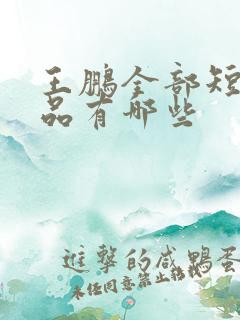 王鹏全部短剧作品有哪些