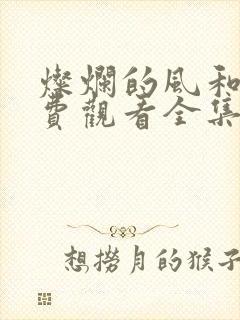 灿烂的风和海免费观看全集