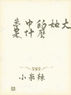 梦中的她大结局是什么