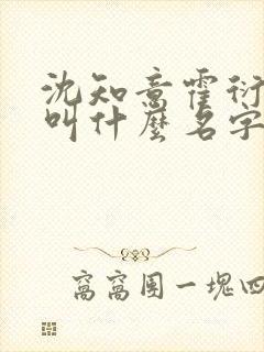 沈知意霍衍小说叫什么名字