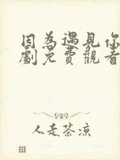 因为遇见你电视剧免费观看全集