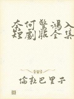 奈何惊鸿入我心短剧版全集完整版在线观看