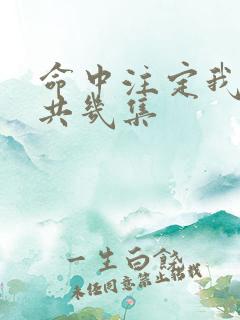 命中注定我爱你共几集