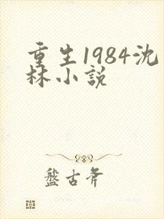 重生1984沈林小说