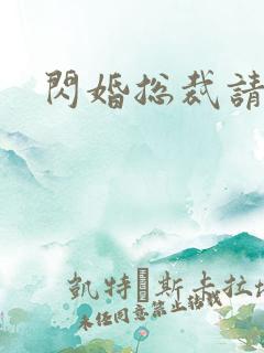 闪婚总裁请节制