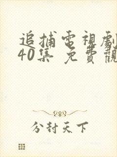 追捕电视剧 共40集 免费观看