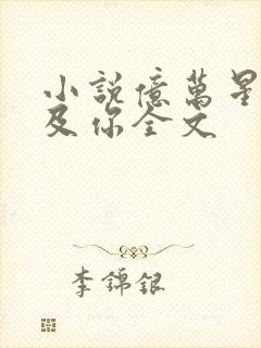 小说亿万星辰不及你全文