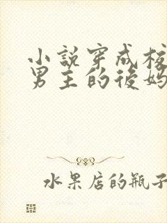 小说穿成校园文男主的后妈