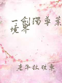 一剑独尊叶玄的境界