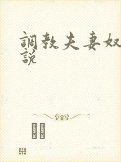 调教夫妻奴的小说