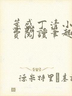 叶盛丁清小说免费阅读笔趣阁