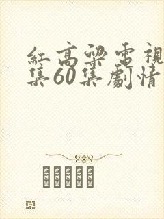 红高粱电视剧全集60集剧情