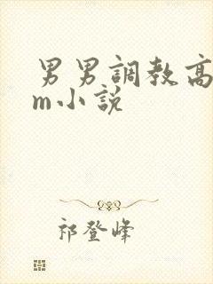 男男调教高hsm小说