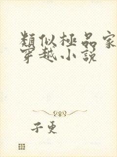 类似极品家丁的穿越小说