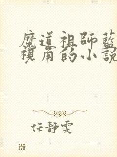 魔道祖师蓝忘机视角的小说