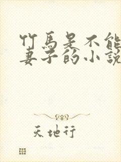 竹马是不能成为妻子的小说