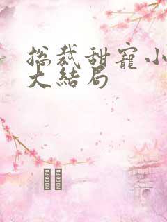 总裁甜宠小娇妻大结局