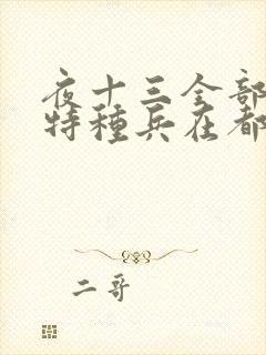 夜十三全部小说特种兵在都市