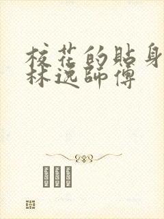 校花的贴身高手林逸师傅