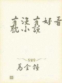 有没有好看的原耽小说