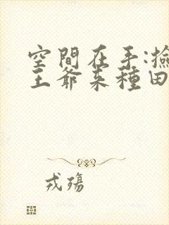 空间在手:捡个王爷来种田免费阅读全文