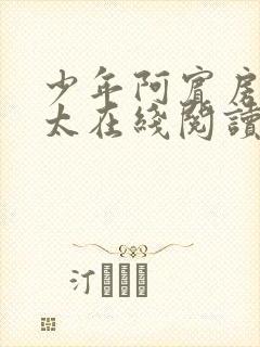 少年阿宾房东太太在线阅读