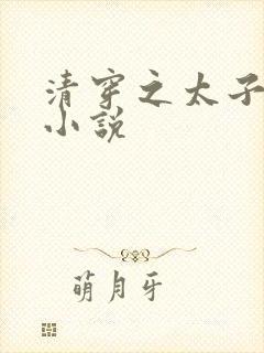 清穿之太子娇妃小说