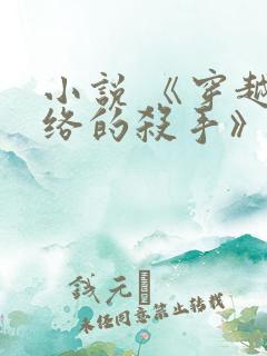 小说 《穿越网络的杀手》