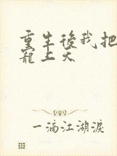 重生后我把前夫宠上天