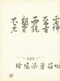 不期而至电视剧免费观看神马影院