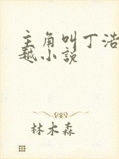 主角叫丁浩的穿越小说