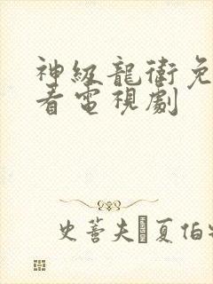 神级龙卫免费观看电视剧