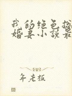 我的绝色总裁未婚妻小说最新章节