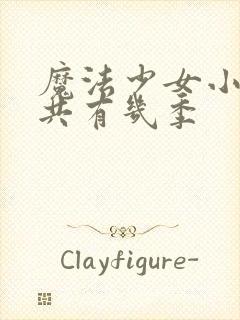 魔法少女小圆一共有几季