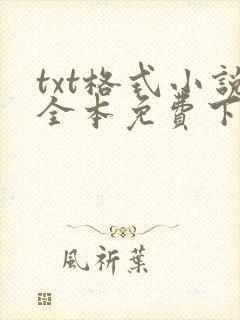 txt格式小说全本免费下载