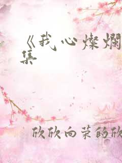 《我心灿烂》续集