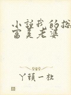 小说我的总裁白富美老婆