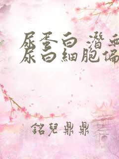 尿蛋白 潜血 尿白细胞偏高是什么原因