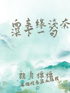 向来缘浅奈何情深下一句