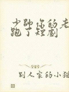 少帅你的老婆又跑了短剧