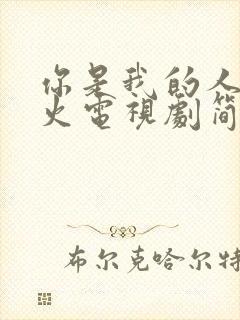 你是我的人间烟火电视剧简介