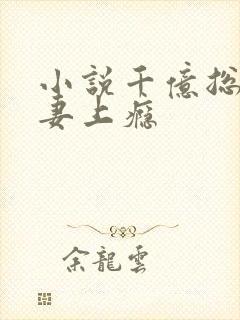 小说千亿总裁宠妻上瘾