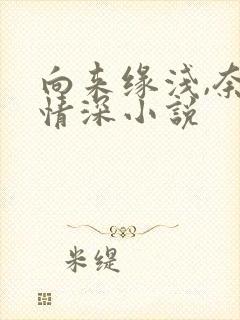 向来缘浅,奈何情深小说