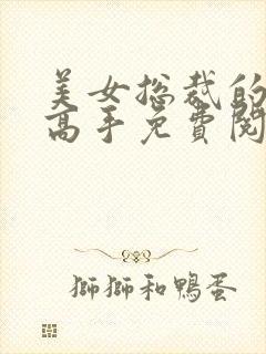 美女总裁的贴身高手免费阅读全文