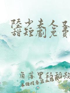 陆少夫人又酷又甜短剧免费观看