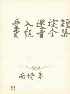 爱入迷途短剧免费观看全集完整版