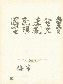 国民老公带回家电视剧免费观看