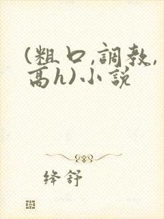 (粗口,调教,高h)小说